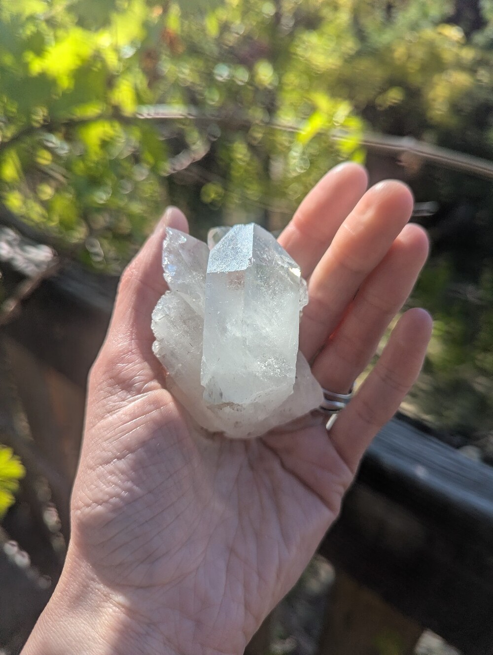 Clear Quartz Cluster